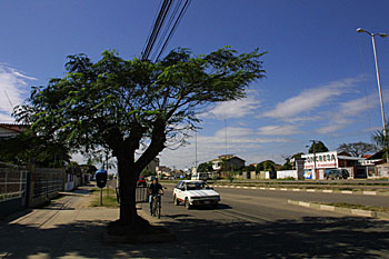 Fachada de Virtual Santa Cruz